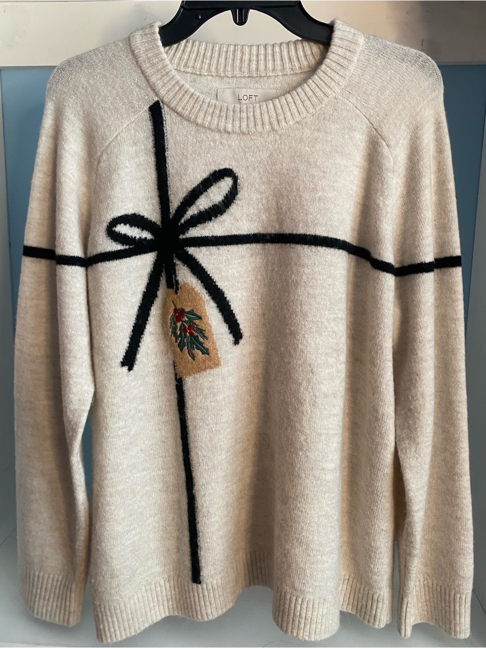 LOFT cozy Holiday Gift chic knit Crewneck Sweater L